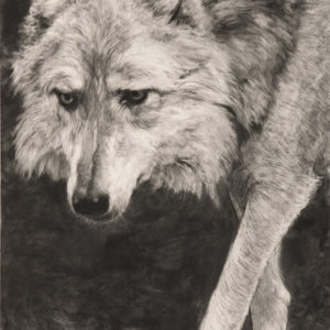 Odin II