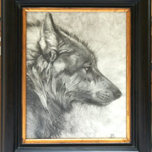 Graphite drawing of a wolf's profile