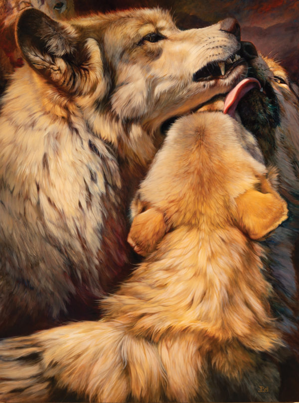 Realistic oil painting of a large commanding grey wolf being praised and licked by its companions.