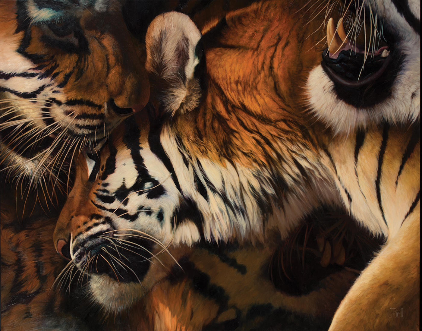 An upclose picture of a tribe of tigers.