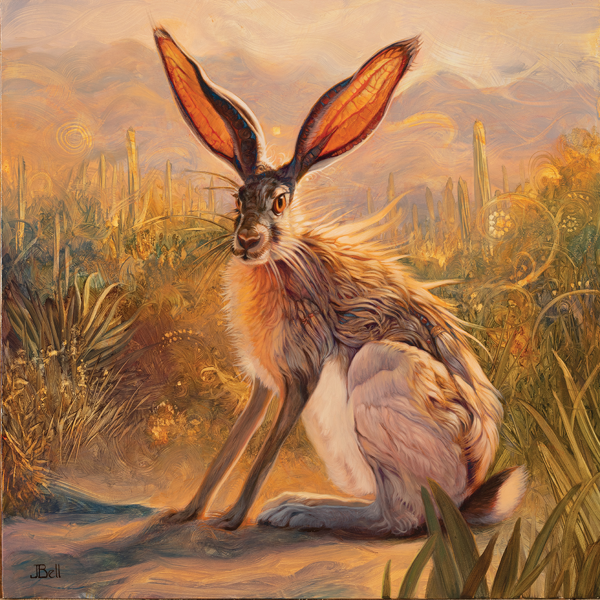 A stunning grey jackrabbit on a field path.